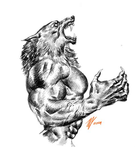 Werewolf Sketch By Terminator7000 On Deviantart