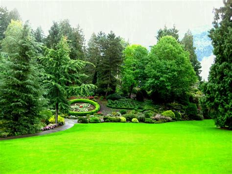 Download Green Garden Wallpaper Free Download Wonderful Cool Green