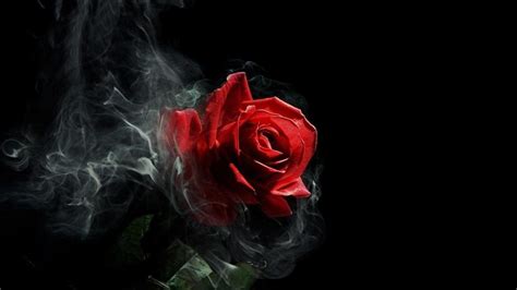 Gothic Roses Wallpapers Top Free Gothic Roses Backgrounds