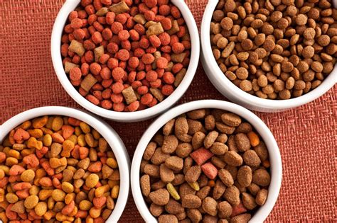 With its multiple sources of protein paired with the low fat index of this diet, this food will help your cat shed those extra pounds. Best Dog Food for Pitbulls to Satisfy Their Nutritional ...