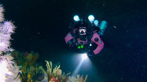 Citizen Scientists Film Black Corals At Spectacular Unexplored Reef Off