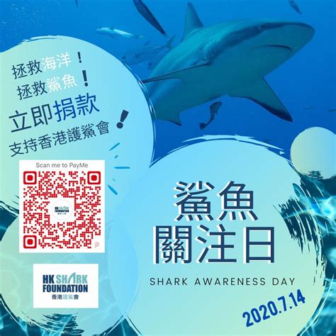 Shark Awareness Day Support Hksf Hong Kong Shark Foundation