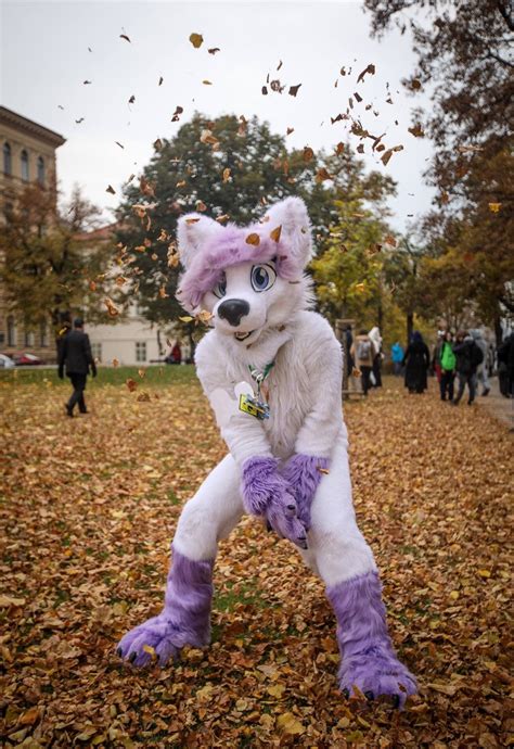 Silly Philly Phillysatark Twitter Fursuit Furry Anthro Furry