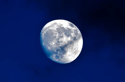 Moon Free Stock Photo Public Domain Pictures