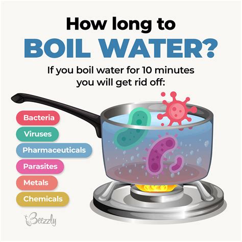 How Long Does It Take To Boil Water Detailed Guide Beezzly Oanhthai