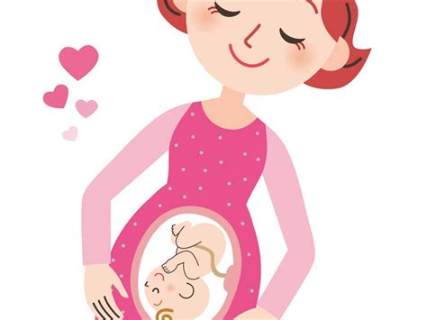胎児の心拍数から分かること～妊娠中の赤ちゃんの心音検査 マーミー