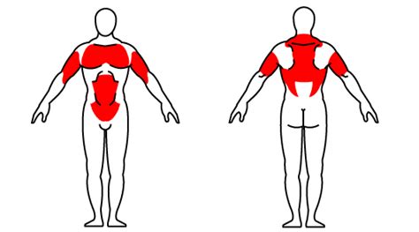 Secondary muscles are also involved in stabilising or holding the body in position during forward plank and these include muscles around the shoulder girdle. Kettlebell Power Plank with Row - RX Fitness Equipment