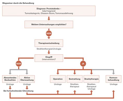 Therapie Von Prostatakrebs Therapieformen Meine Prostatade