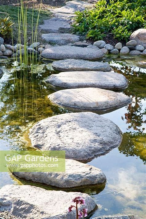 Stepping Stones Across Pond Stepping Stones Garden Stones Plant