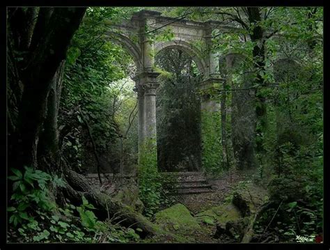 Forest Ruins Abandoned Castles Abandoned Mansions Abandoned Buildings
