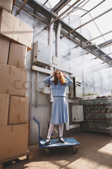 Woman Standing On Wheelbarrow Stock Image Colourbox