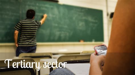 I hope this answers your question. Tertiary economic activity: definition, background, examples | Economic Activity