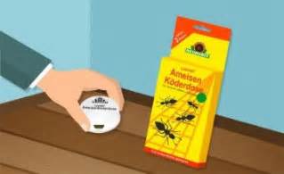 Sie können ameisen entweder mit hausmittel in form ameisen in der wohnung durch eine barriere entgegenwirken. Ameisen bekämpfen - 5 Tipps zur Vertreibung | MOVU