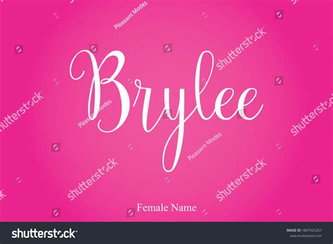 Brylee Female Name Cursive Calligraphy Text Stock Vector Royalty Free