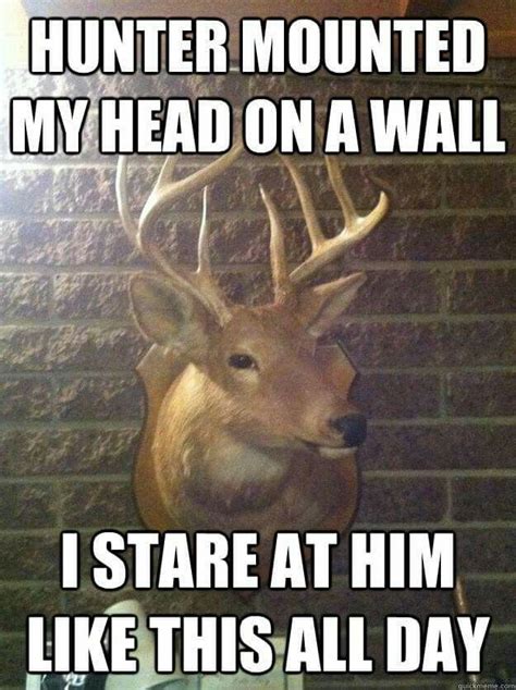 37 Best Funny Deer Hunting Meme Images On Pinterest Deer Hunting Elk