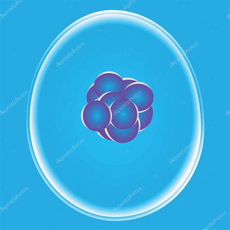 Stem Cells Stock Vector Image By ©vipdesignusa 17883061