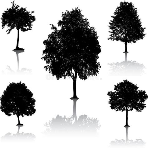Tree Silhouettes Vector Stock Vector Illustration Of Nature