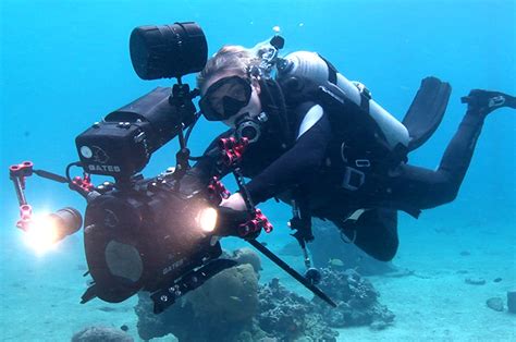 Online Courses Underwater Photography Videography And Filmmaking