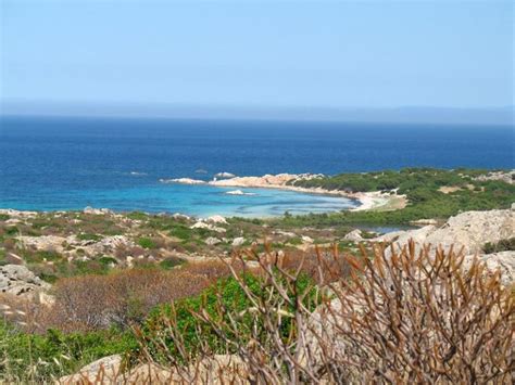 Asinara National Park Tour Costa Paradiso Sardegna
