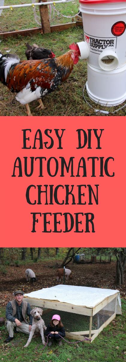 Diy Automatic Chicken Feeder Easiest Way To Feed Your Chickens