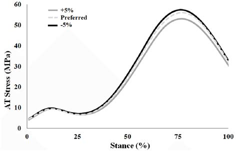 Average Achilles Tendon At Stress Of The 3 Step Frequency