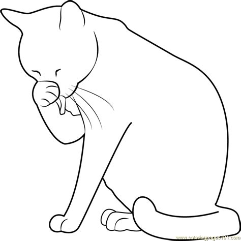 Easy Cat Face Coloring Coloring Pages