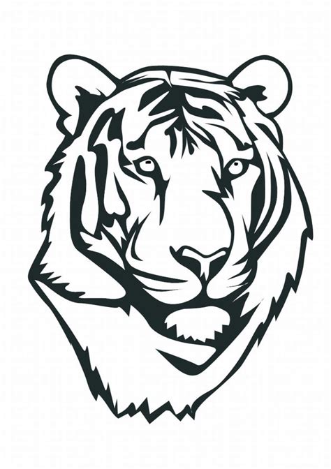 Tiger Sketch Easy At Explore Collection Of Tiger