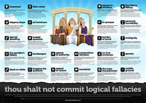 Common Logical Fallacies Infographics
