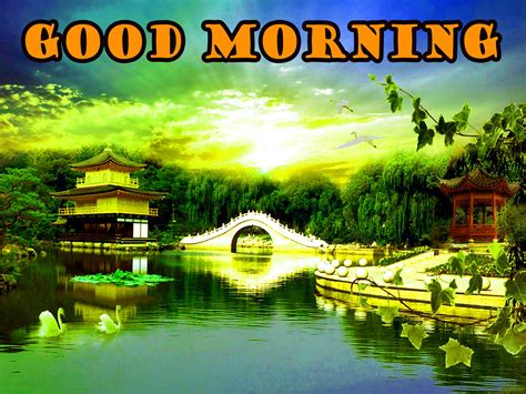 Good Morning Images Scenery Carrotapp