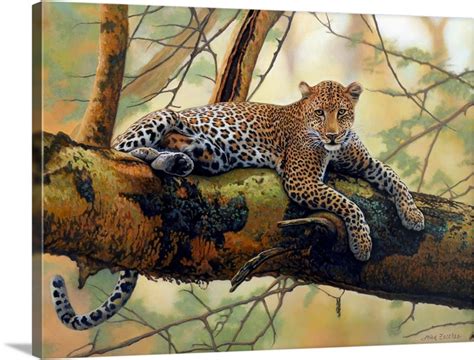 African Leopard Wall Art Canvas Prints Framed Prints Wall Peels