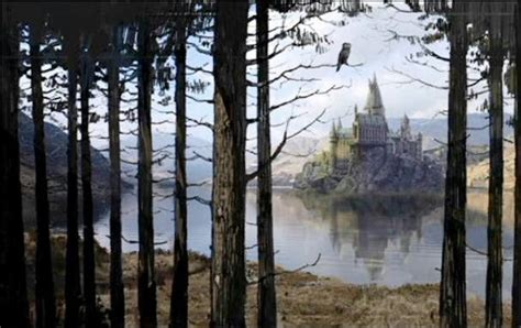 Hogwarts View From The Trees Concept Art Хогвартс Гарри поттер Леса