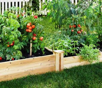 Raised garden beds let you enjoy all of the perks of gardening, as described above, while also providing additional benefits that you might not have considered previously. Urban / small-space gardening - Lowimpact.orgLow impact living info, training, products & services
