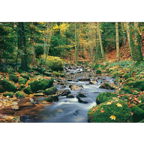 Wall art green tranquil forest fields printed canvas wall art. Forest Stream Wall Mural - Brewster Home Fashions - Touch ...