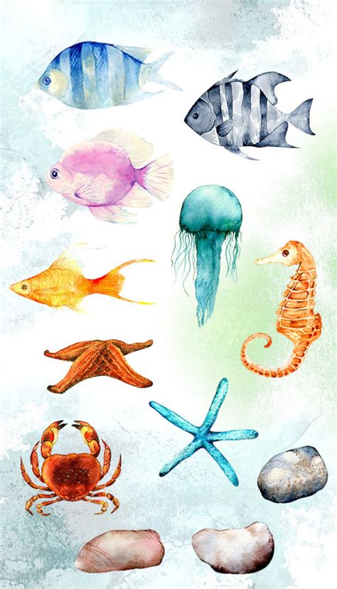 Watercolor Sea Life Clipart Ocean Clip Art Png Etsy