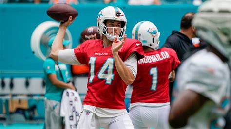 Miami Dolphins To Evaluate Mike White Skylar Thompson For Backup Qb Role