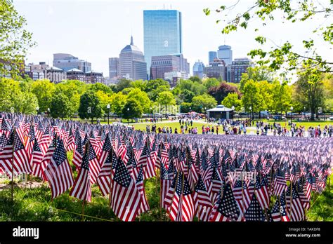 View of the 37,297 flags adorning the hill in the Boston Common on