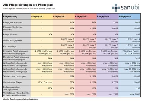 Pflegegesetz Recht große Übersicht von Sanubi