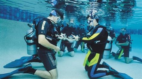 Australia and oceania australia south townsville. Divemaster and Diving Instructor Job Description