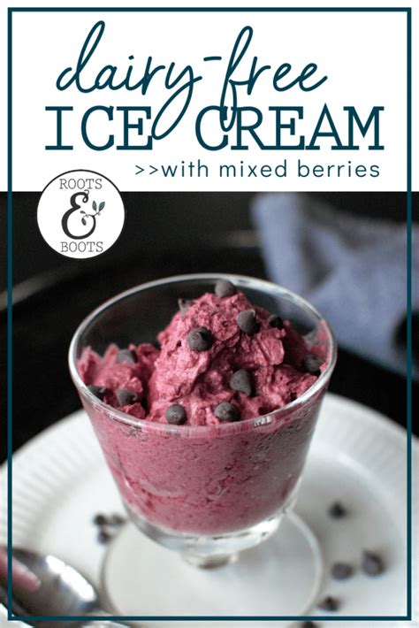 Mixed Berry Coconut Milk Ice Cream Roots And Boots