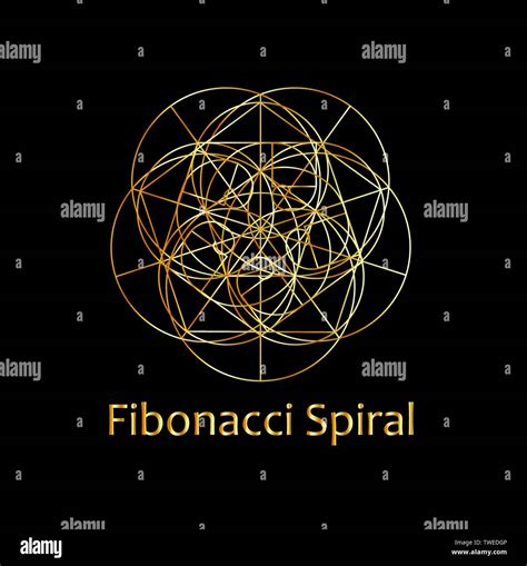 Fibonacci Spiral The Sacred Geometry Stock Vector Image And Art Alamy