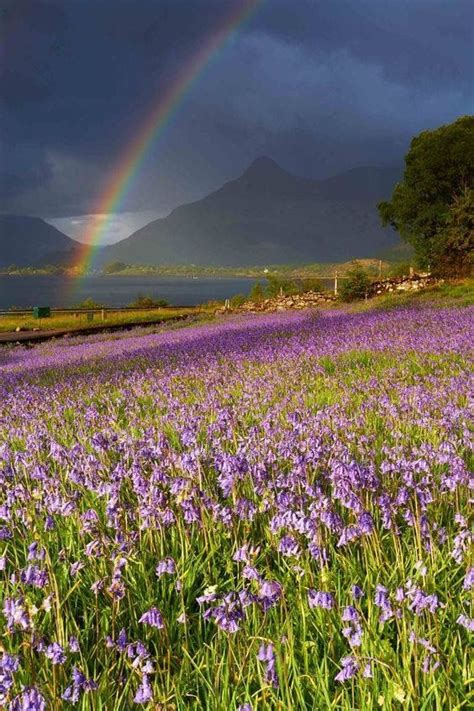 Sunshine And Rainbows Glencoe Highlands Scotland Photo Jeanie