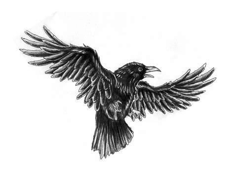 Crow Tattoo Black Crow Tattoos Crow Tattoo Design