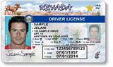 Maryland Drivers License Book Images