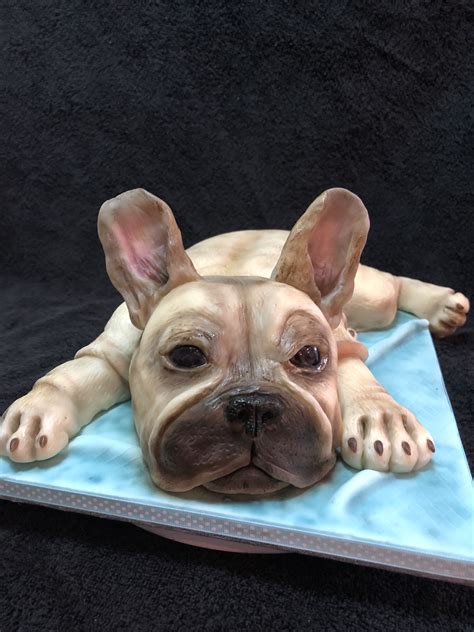 French bulldog cake | French bulldog, Bulldog, Bulldog cake