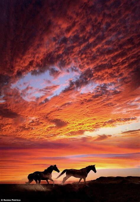 Two Horses Are Running In The Sunset With Clouds Above Them And One