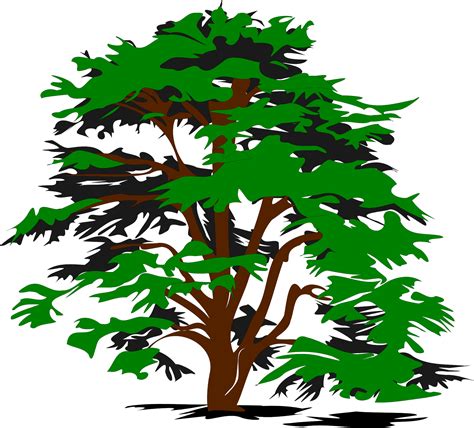 Download Free Tree Vector Png, Download Free Clip Art, Free Clip Art on Clipart Library