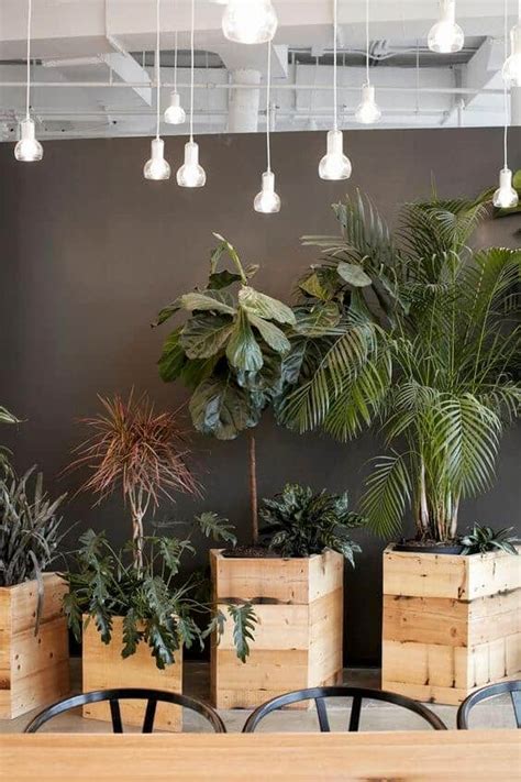 32 Office Plants Youll Want To Adopt