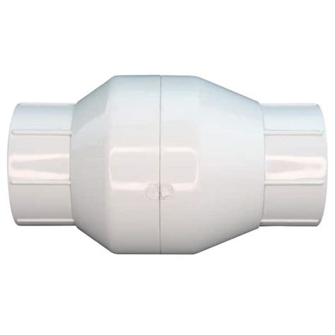 Everbilt 2 In Fpt X Fpt Pvc Check Valve Pvccv2f The Home Depot