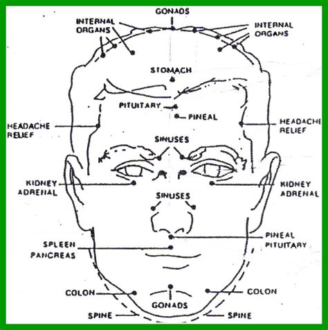 Head Hand And Ear Reflexology Charts Show Trigger Points Cranial