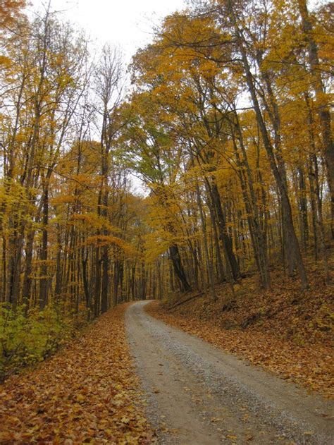 Take These 10 Country Roads In Tennessee For A Scenic Drive Scenic